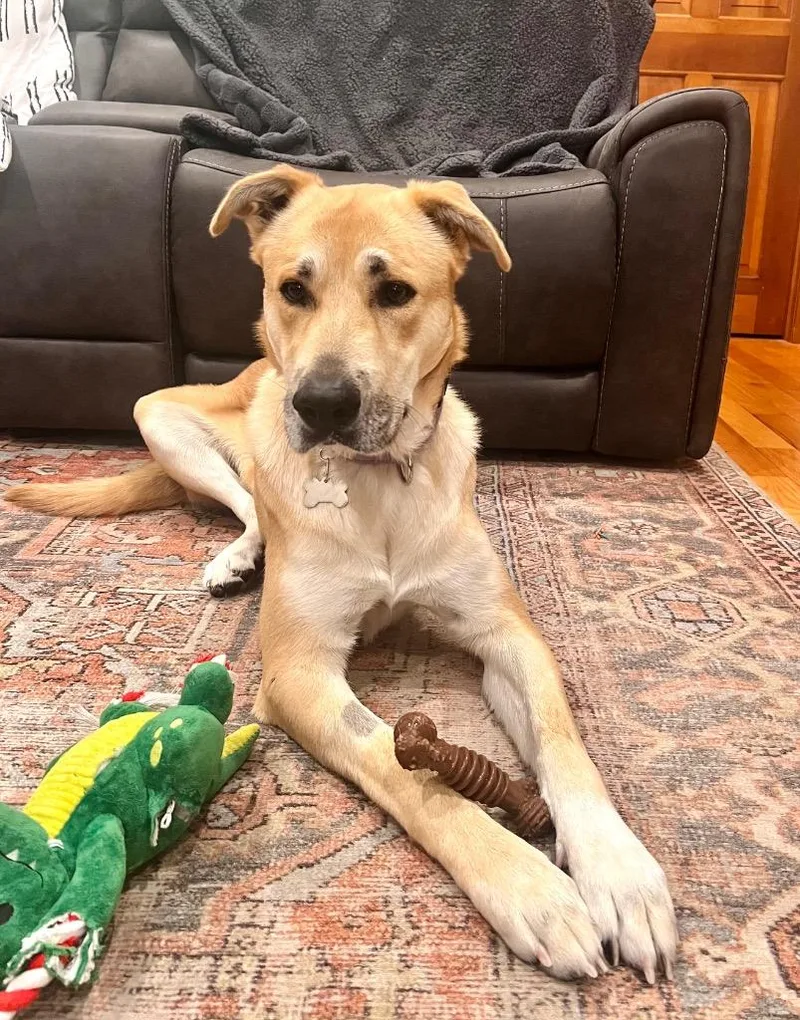 Devina  Local thumbnail 2