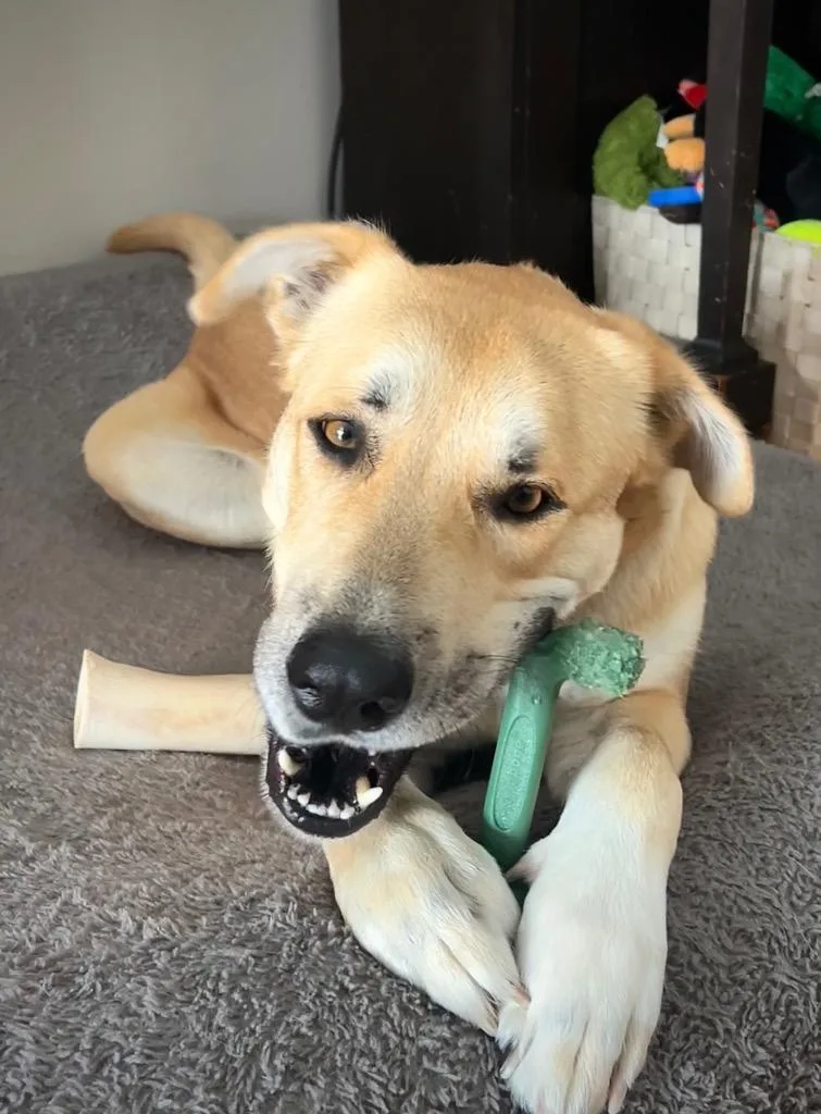 Devina  Local thumbnail 3