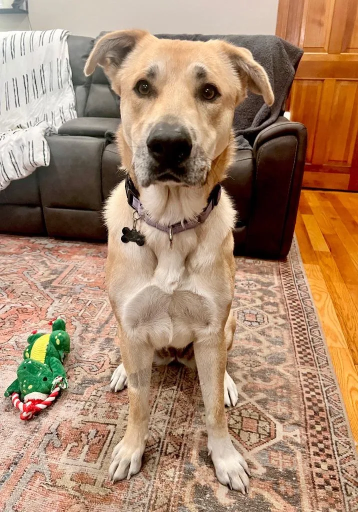 Devina  Local thumbnail 5