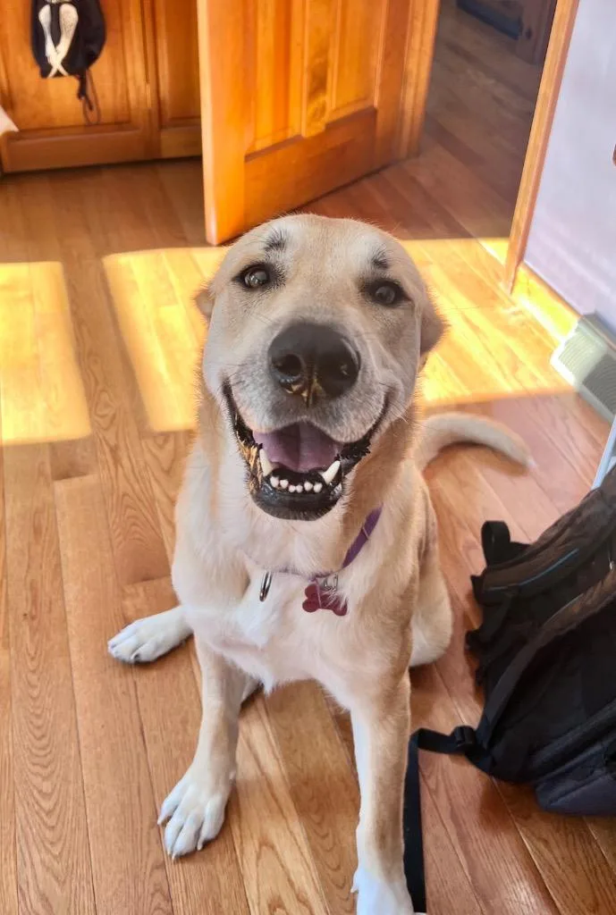 Devina  Local thumbnail 6