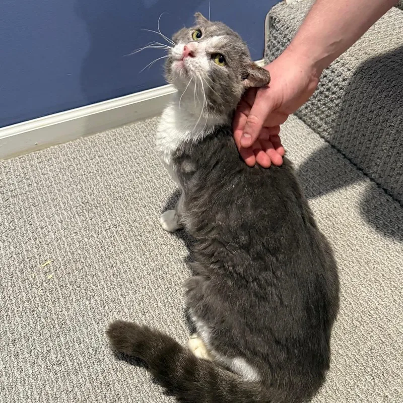 Jacked Up Jack thumbnail 5