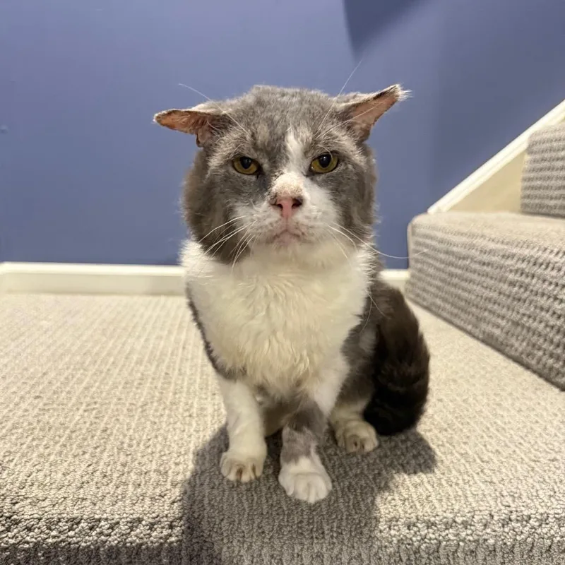 Jacked Up Jack thumbnail 6