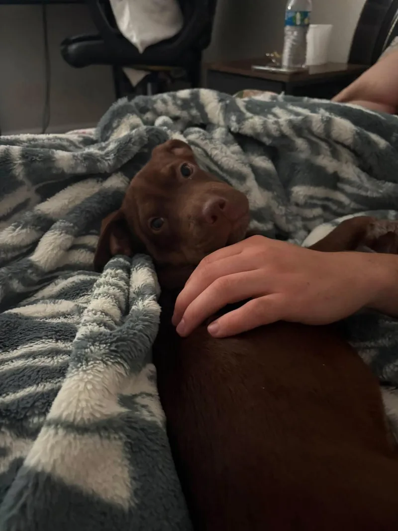 Roxy thumbnail 2