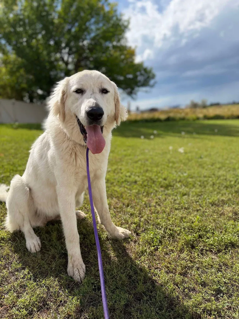 Ellie thumbnail 3