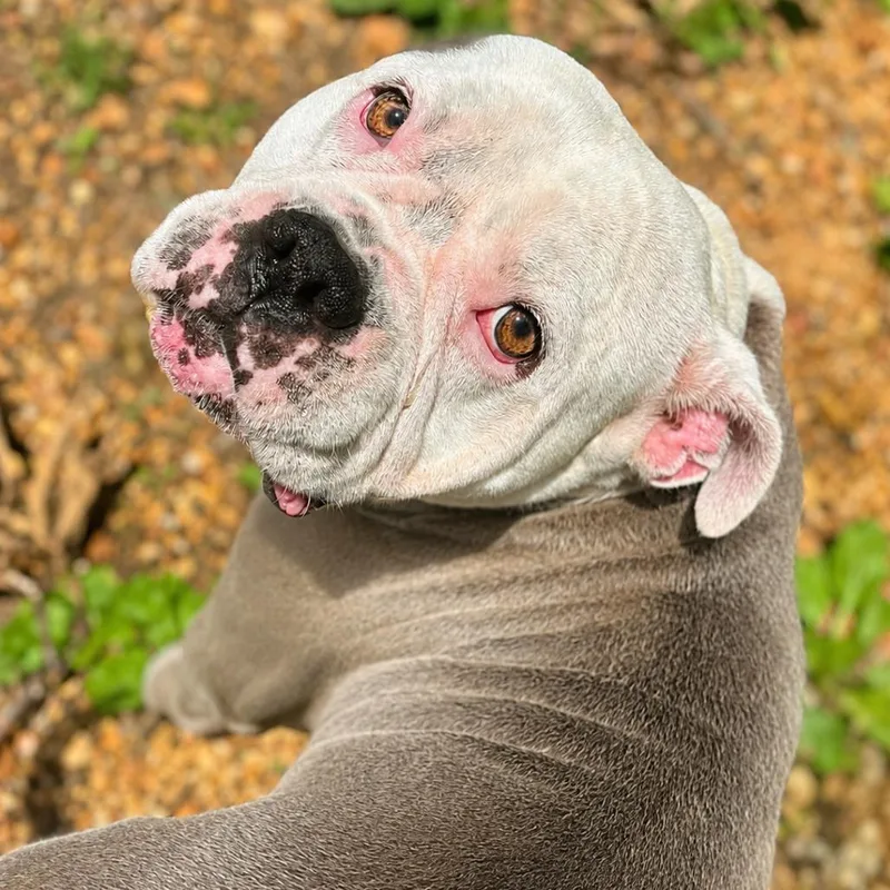 Winnie