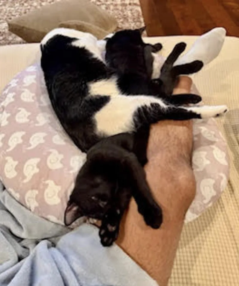 Spooky & Kookie thumbnail 2