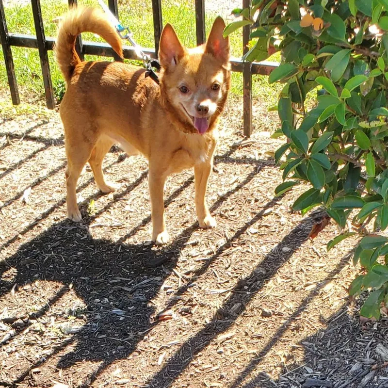 Raul Hayes thumbnail 2