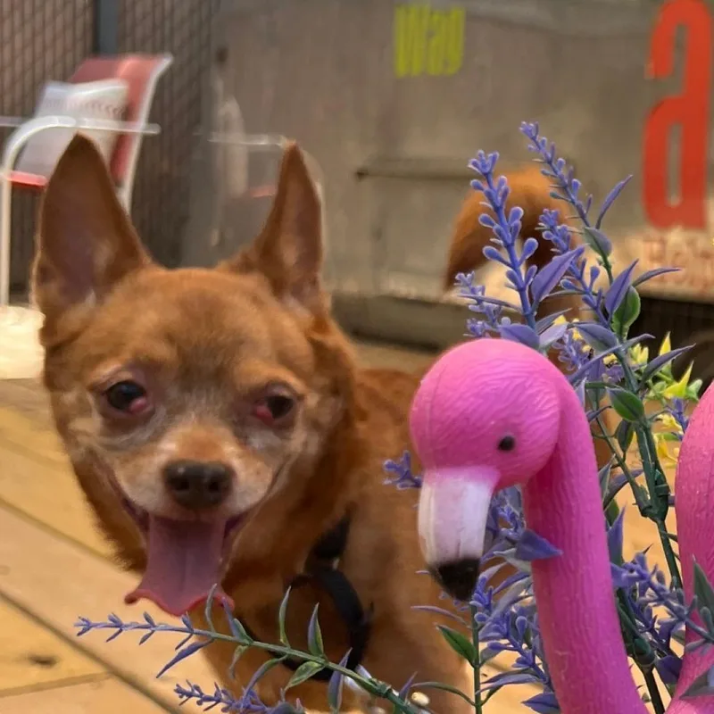 Raul Hayes thumbnail 3