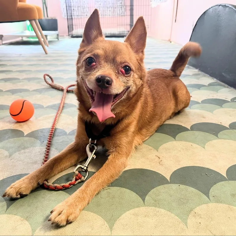 Raul Hayes thumbnail 4