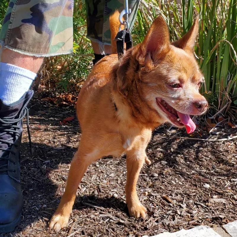 Raul Hayes thumbnail 6