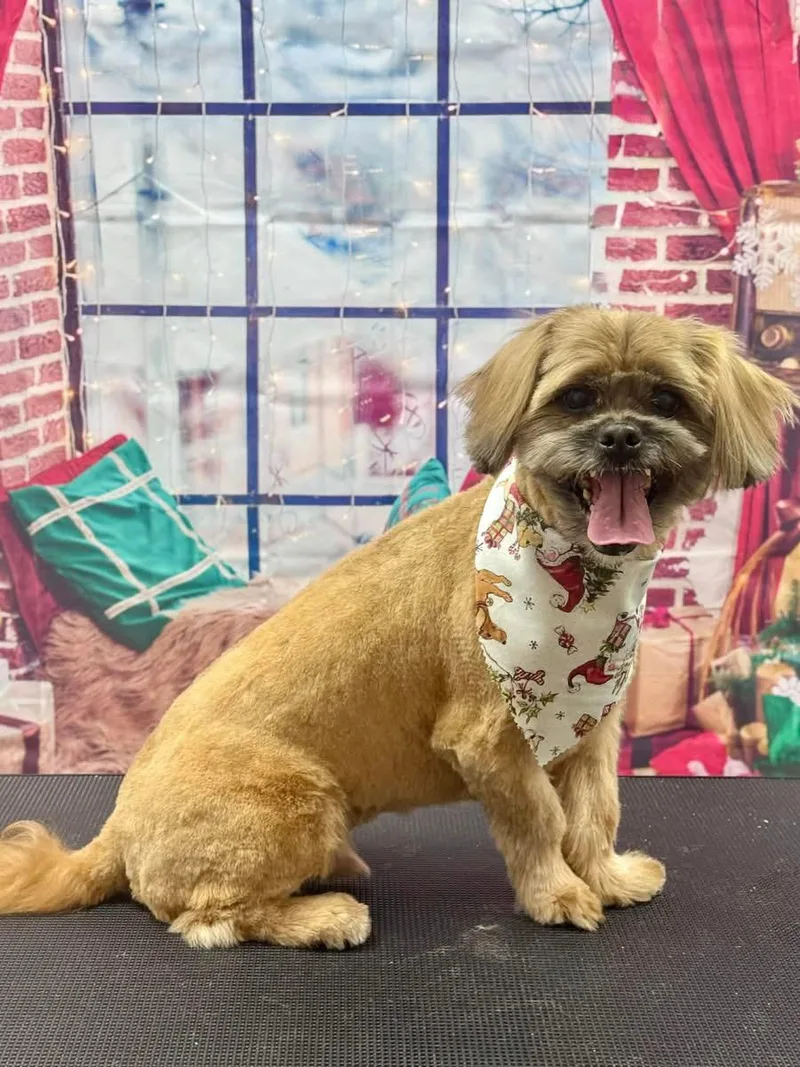 Muffy And Chunk thumbnail 2