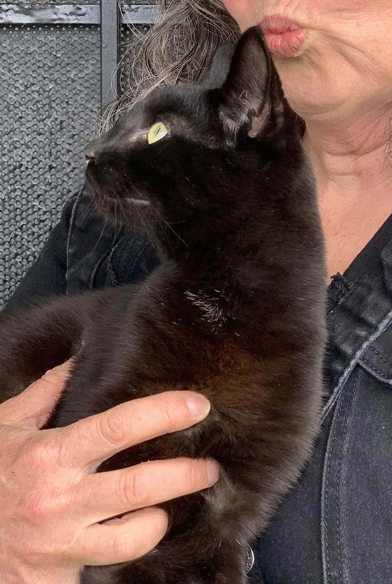 Panther & Pepper thumbnail 2