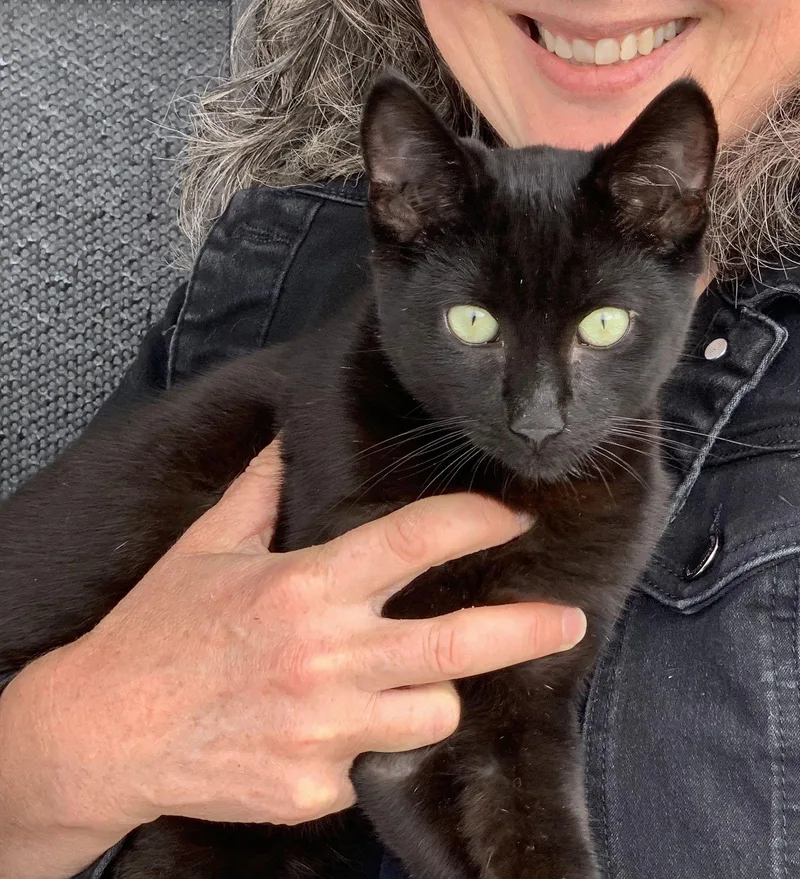 Panther & Pepper thumbnail 3