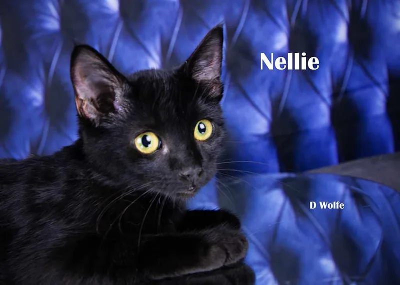 Nellie thumbnail 4