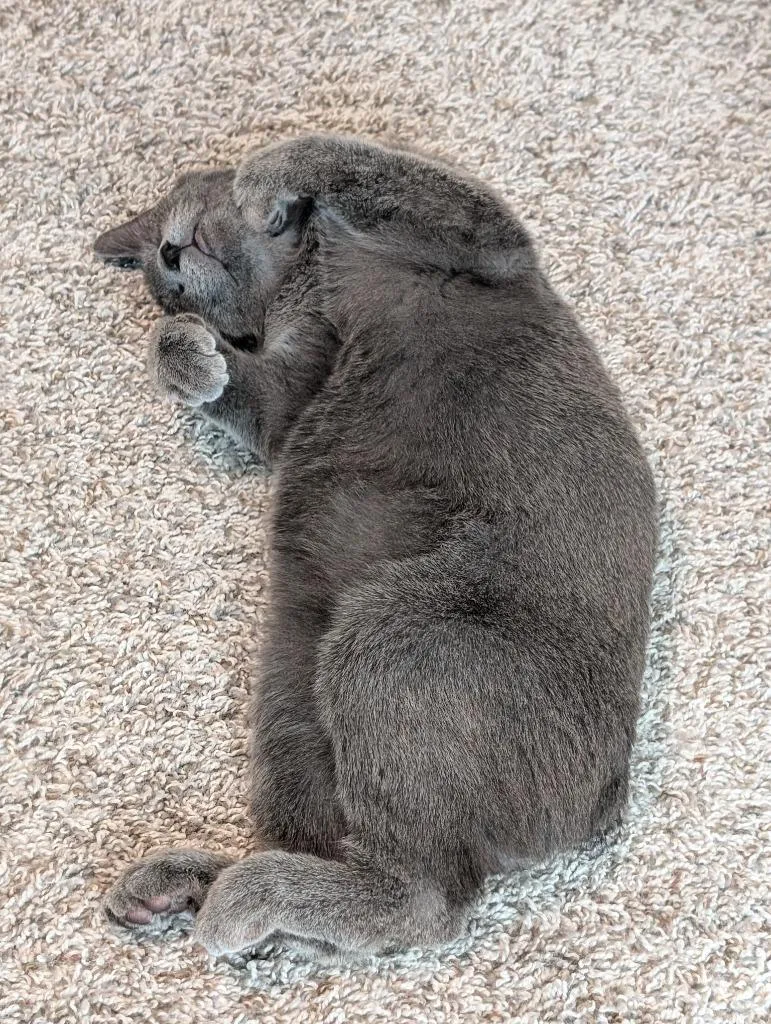 James T Kirk thumbnail 3