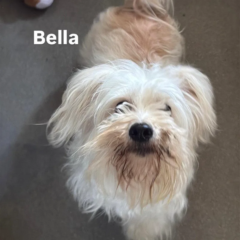 Bella Ca thumbnail 2