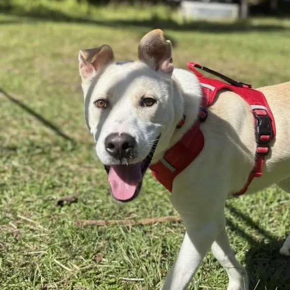 Coldwell thumbnail 3