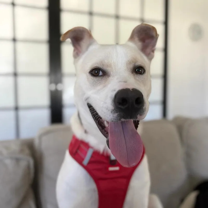 Coldwell thumbnail 4