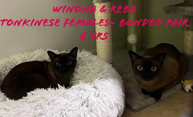 Winona thumbnail 2