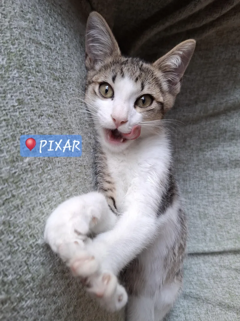 Pixar thumbnail 2