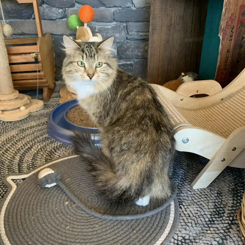 Mona Lisa thumbnail 2