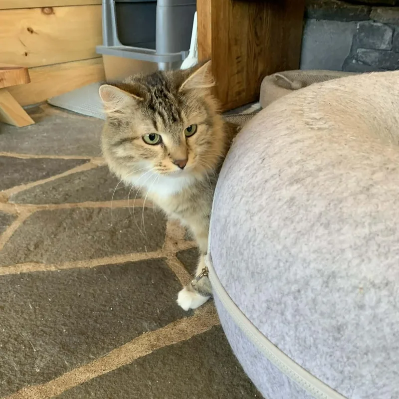 Mona Lisa thumbnail 3