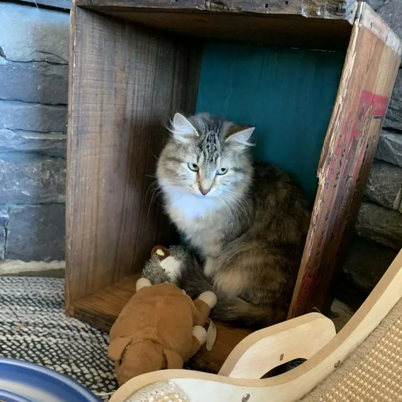 Mona Lisa thumbnail 4