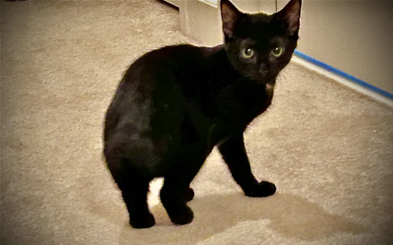 Letty & Mia thumbnail 2