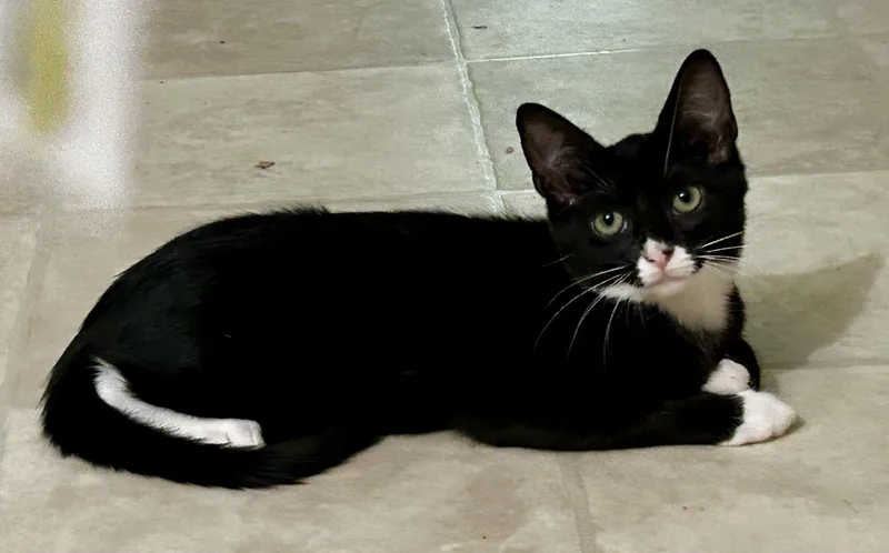 Letty & Mia thumbnail 3