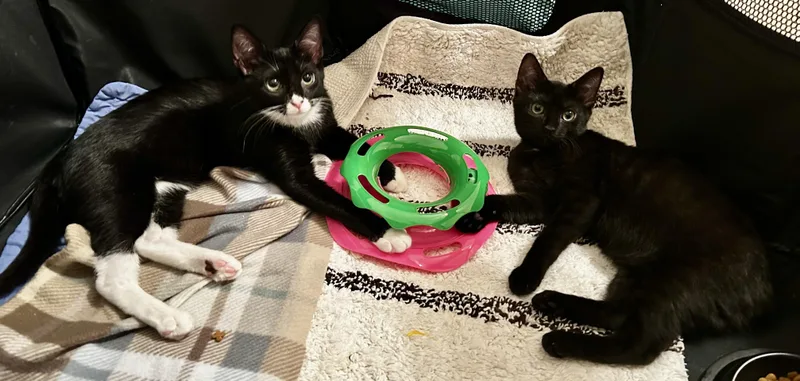 Letty & Mia thumbnail 4