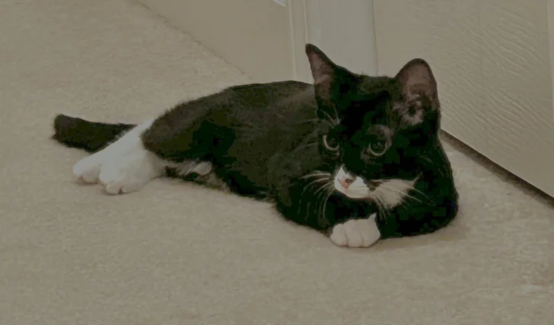 Letty & Mia thumbnail 6