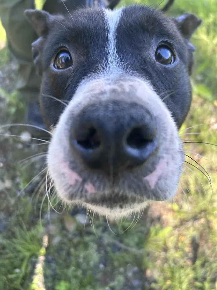 Jax