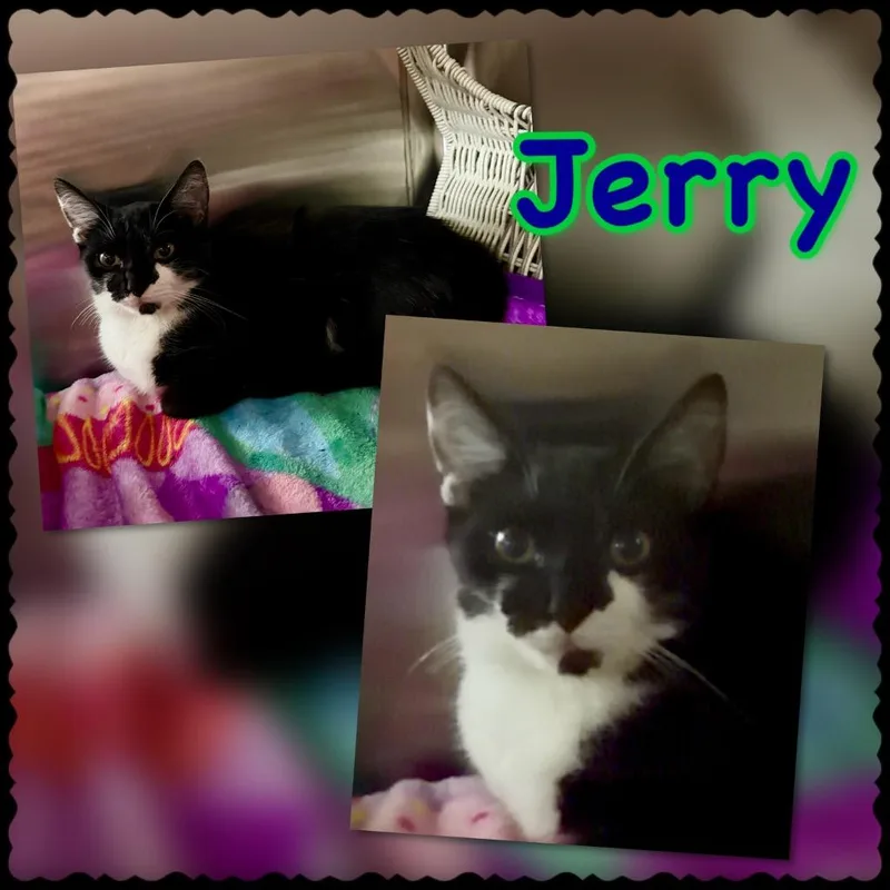 Jerry