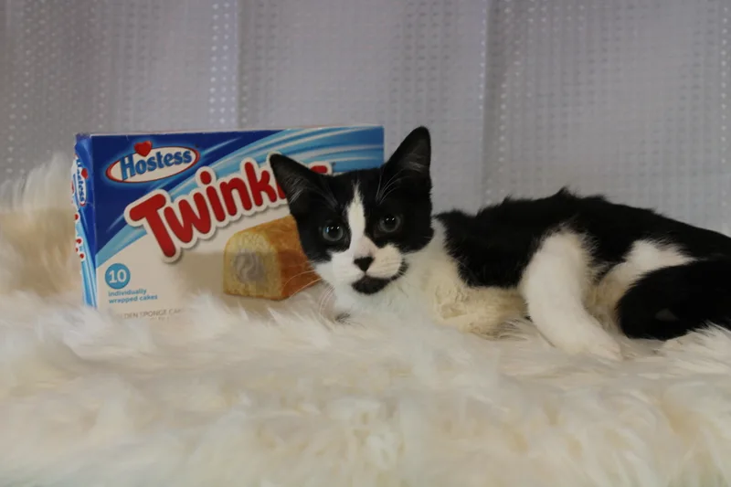 Twinkie thumbnail 2