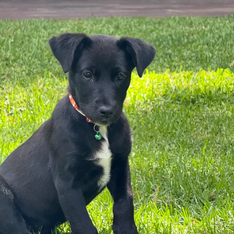 Kaia thumbnail 6