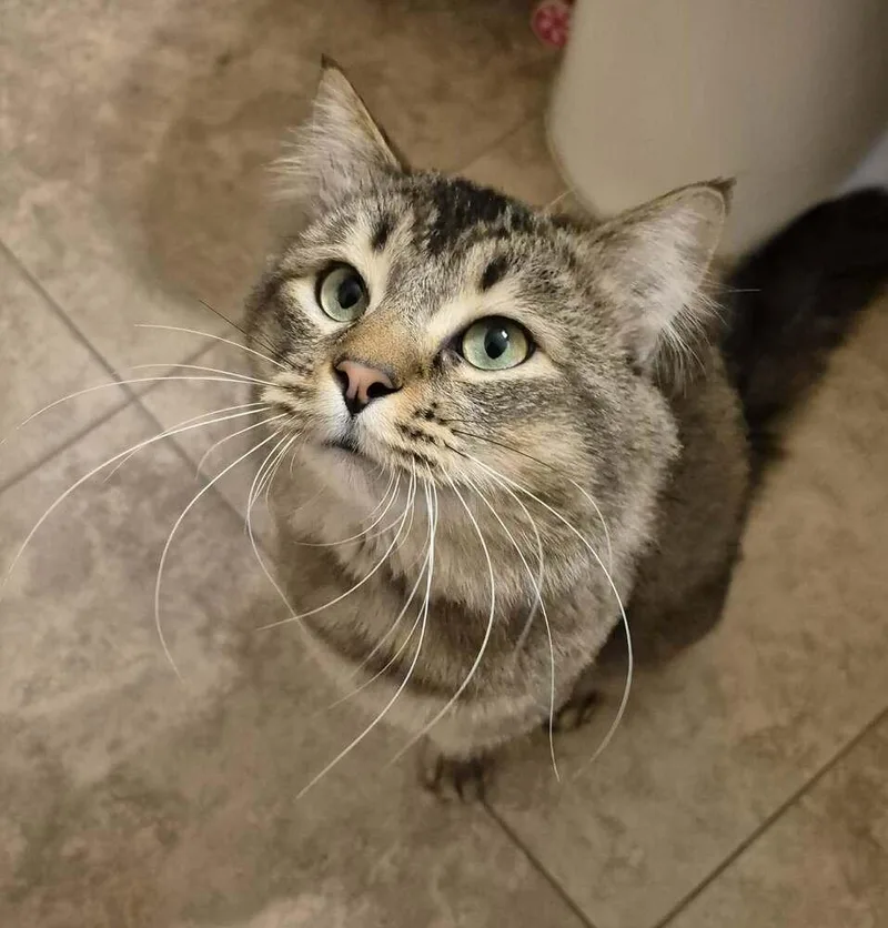Oliver