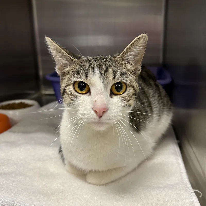 Margarita thumbnail 2