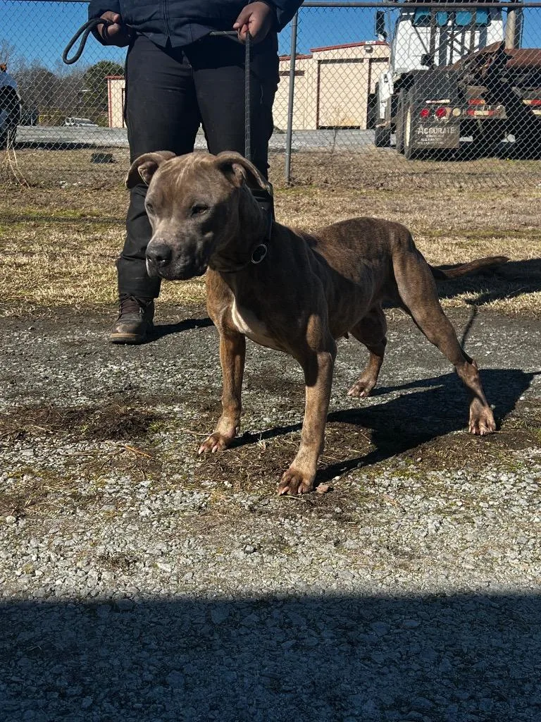 Dolly Pawton thumbnail 2