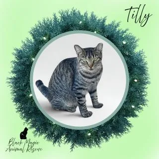 Tilly