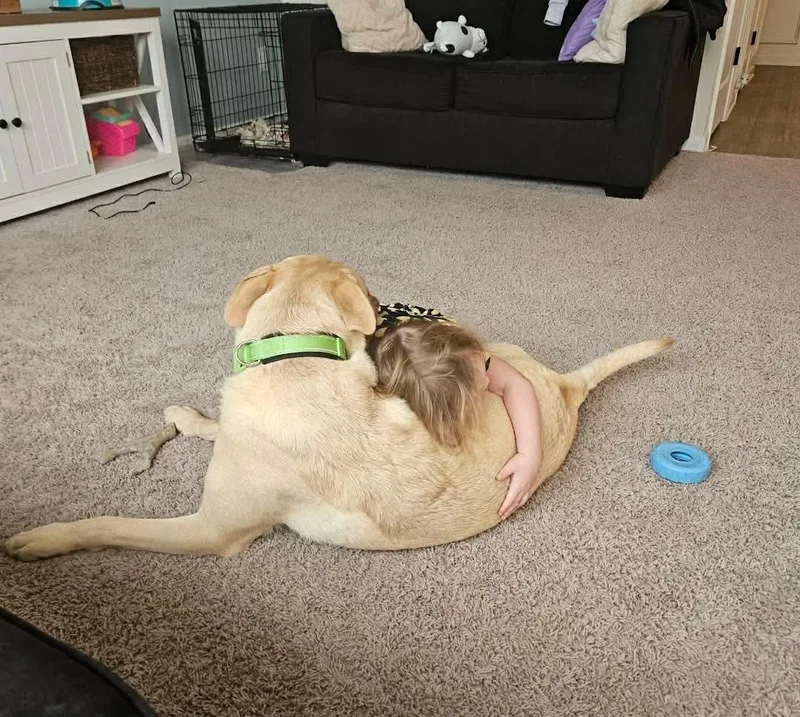 Buckley: A Really Great thumbnail 2