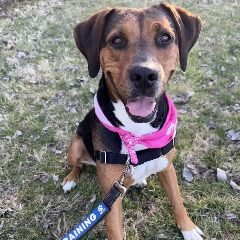 Sasha Pp thumbnail 2