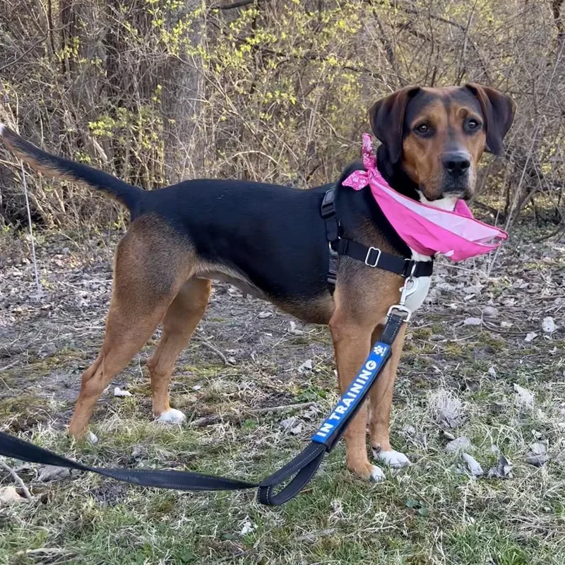 Sasha Pp thumbnail 3