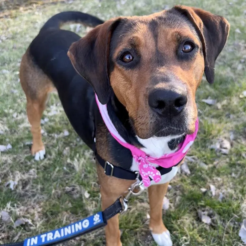 Sasha Pp thumbnail 4