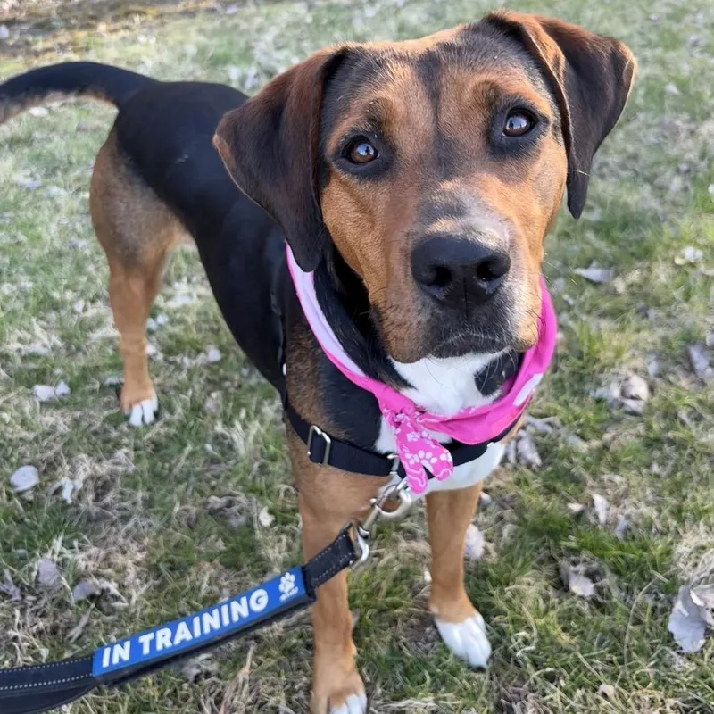 Sasha Pp thumbnail 5