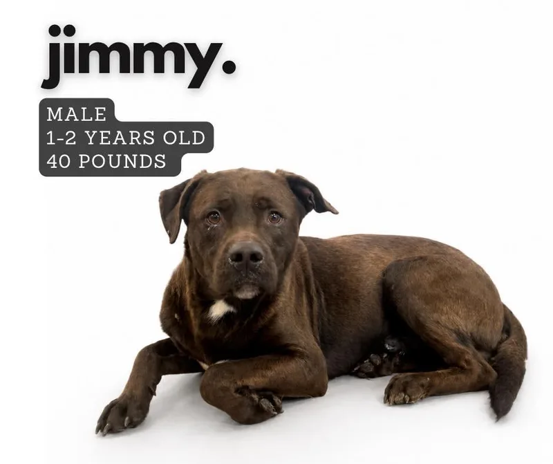 Jimmy