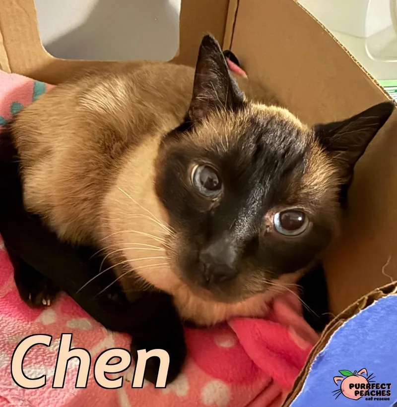 Chen