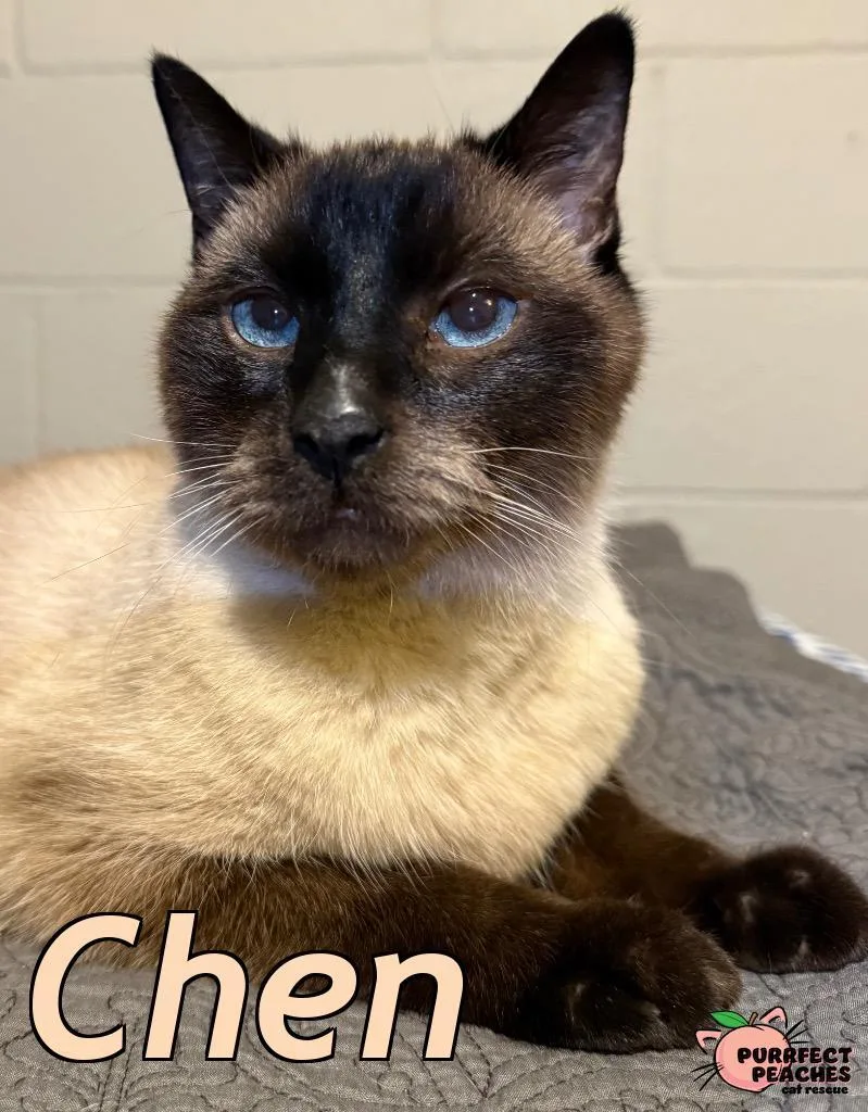 Chen thumbnail 3
