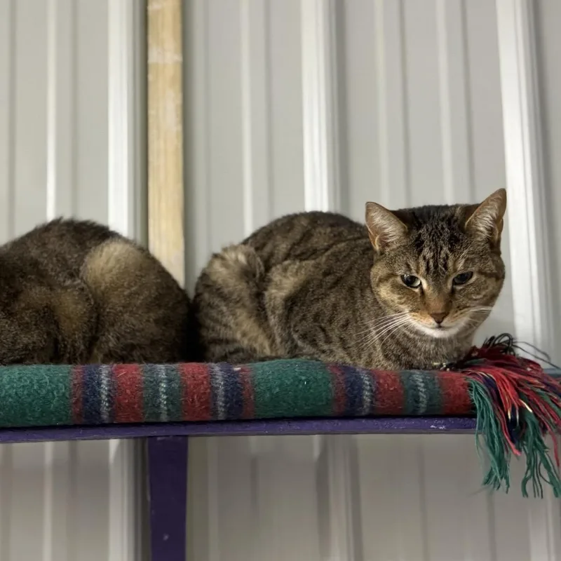 Samantha thumbnail 3