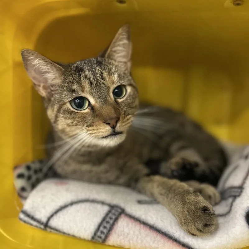 Samantha thumbnail 4