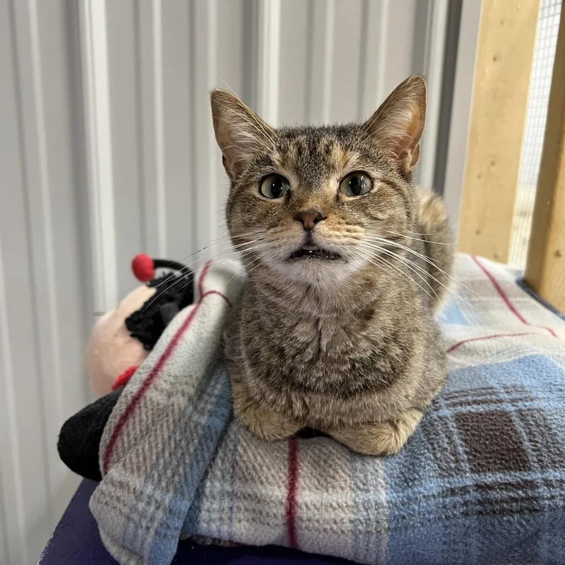 Samantha thumbnail 5